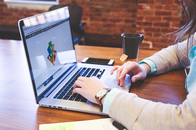 MyBusinessDesigner.net Software